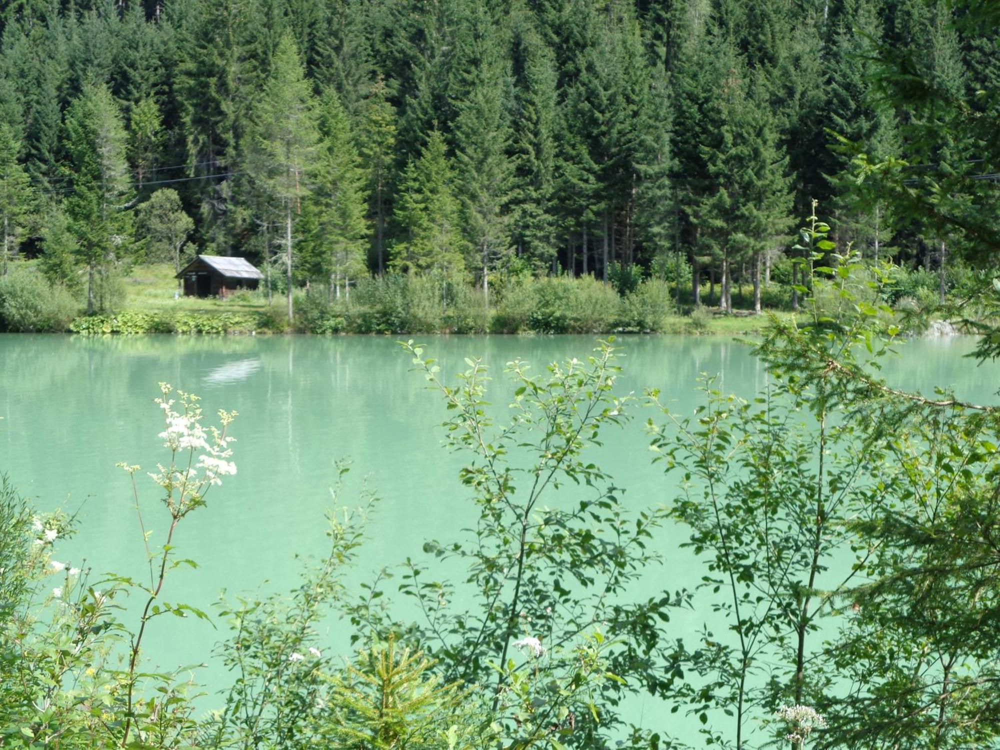 Ferienhaus Lechnerhof Schladming Eksteriør billede