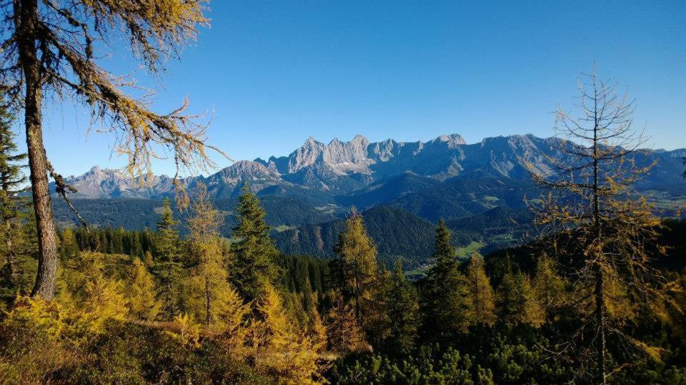 Ferienhaus Lechnerhof Schladming Eksteriør billede